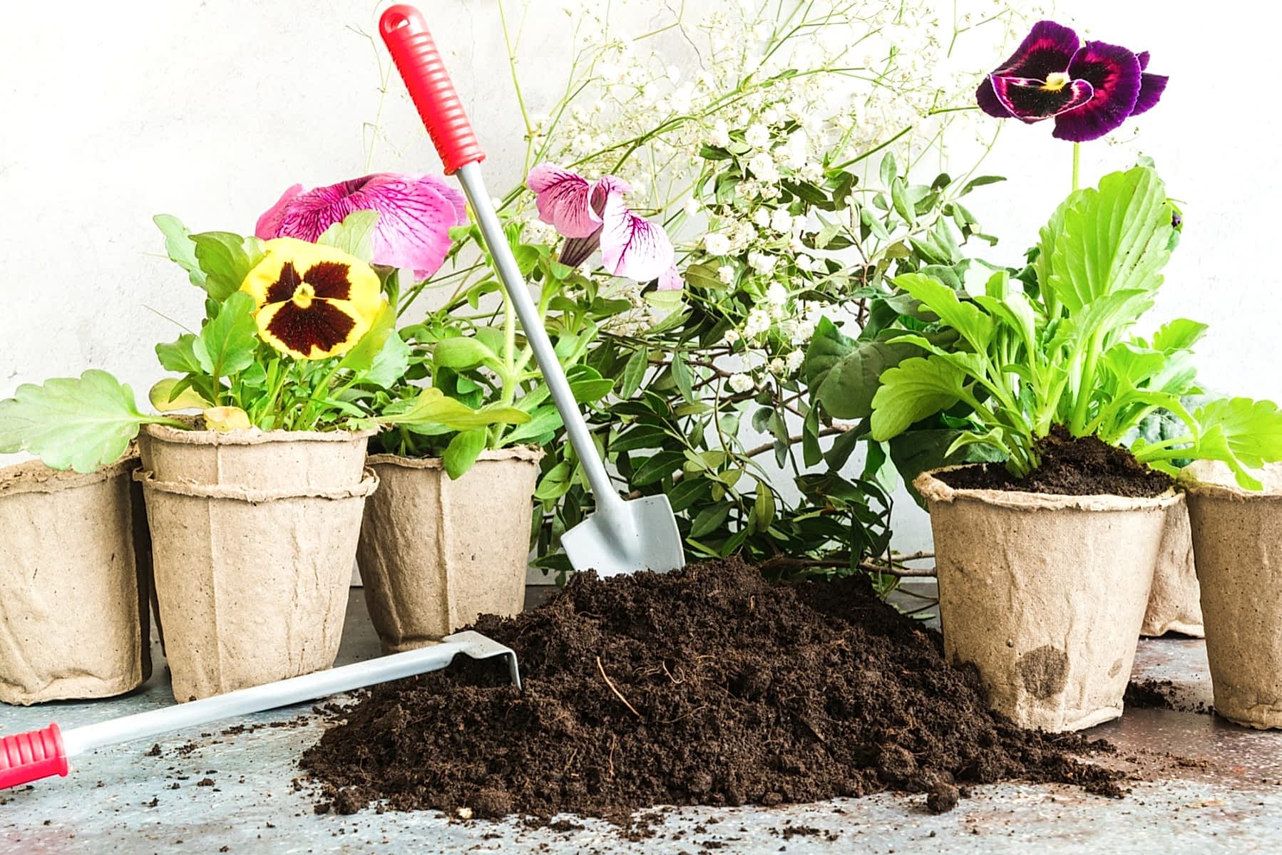 ÇİÇEK TOPRAĞI 20 LT - 7'Lİ ÖZEL KARIŞIM(Akıllı Gübre Katkılı)