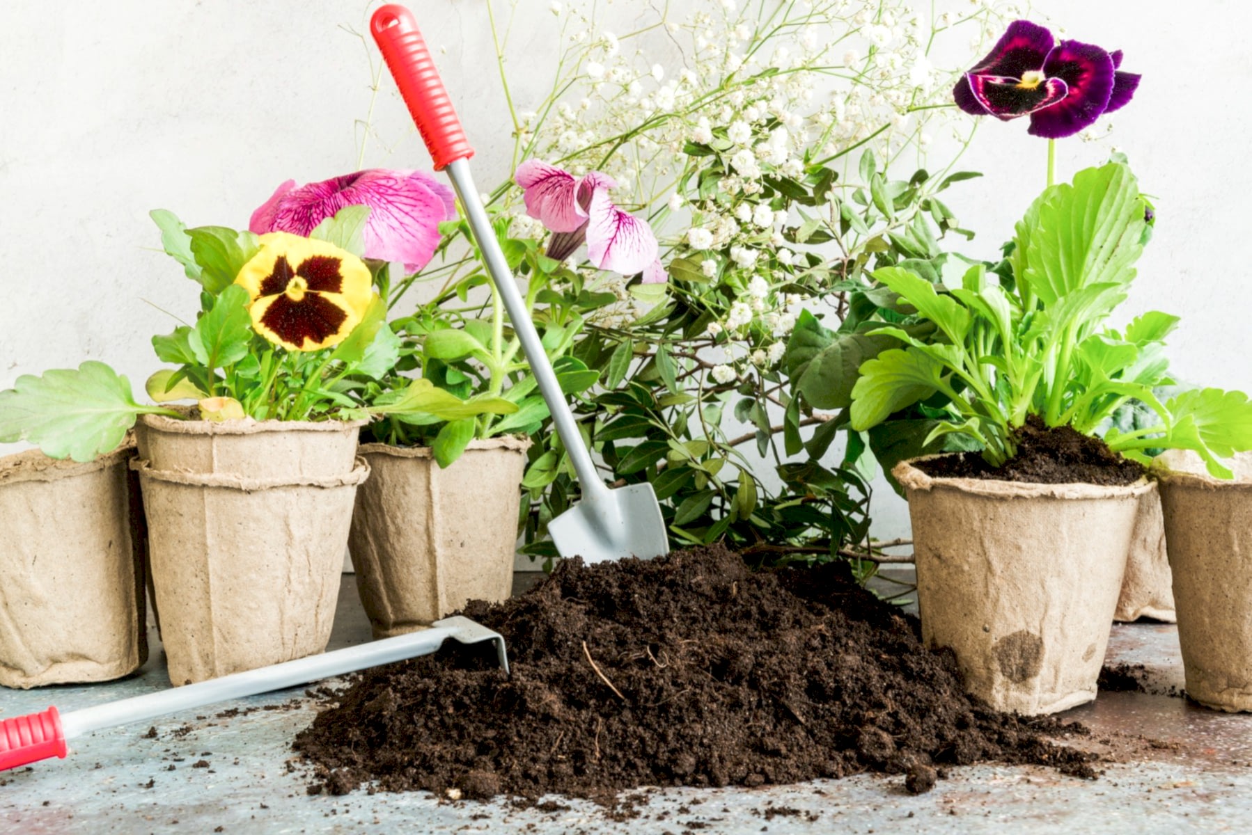 ÇİÇEK TOPRAĞI 5 LT - 7'Lİ ÖZEL KARIŞIM(Akıllı Gübre Katkılı)