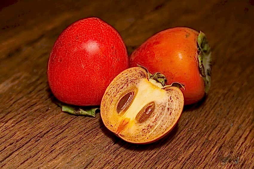 ÇİKOLATALI HARBİYE HURMA FİDANI 5 ADET (KAKAOLU)