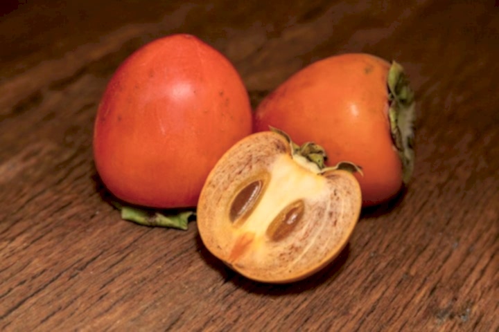 ÇİKOLATALI HARBİYE HURMA FİDANI 3 ADET (KAKAOLU)
