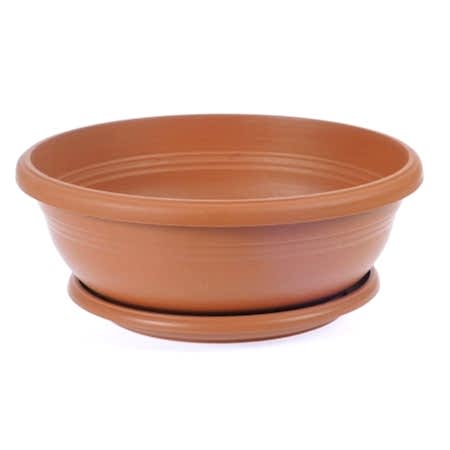 DEFNE AĞACI BONSAİ EKİM SETİ (TOHUM,TOPRAK,SAKSI,BİTKİ BESİNİ)