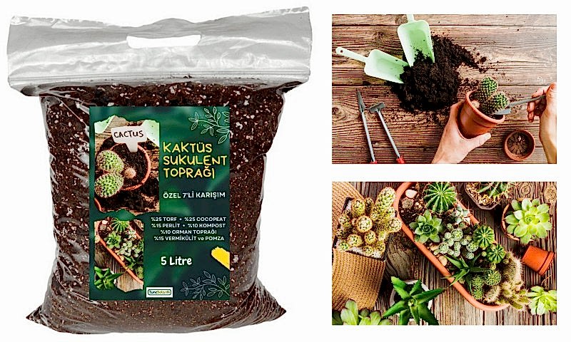 KAKTÜS SUKULENT TOPRAĞI 3 LT - 7'Lİ ÖZEL KARIŞIM(Akıllı Gübre Katkılı)