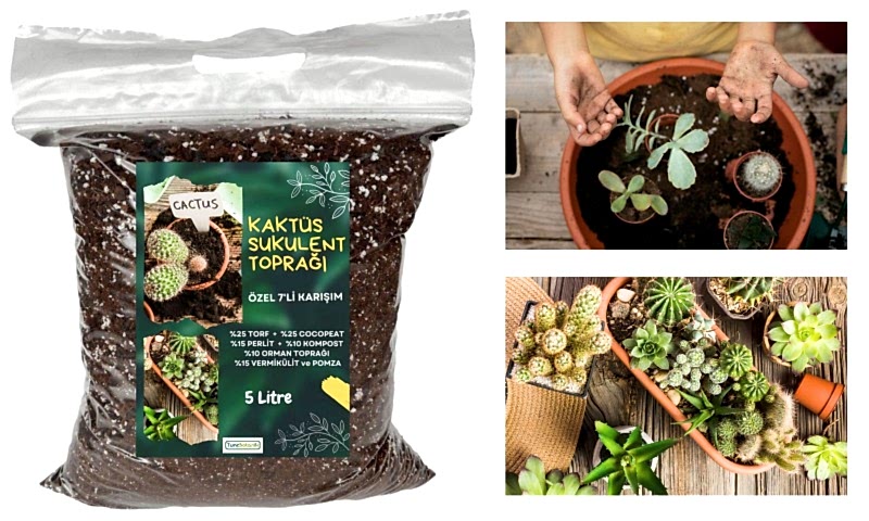 KAKTÜS SUKULENT TOPRAĞI 3 LT - 7'Lİ ÖZEL KARIŞIM(Akıllı Gübre Katkılı)