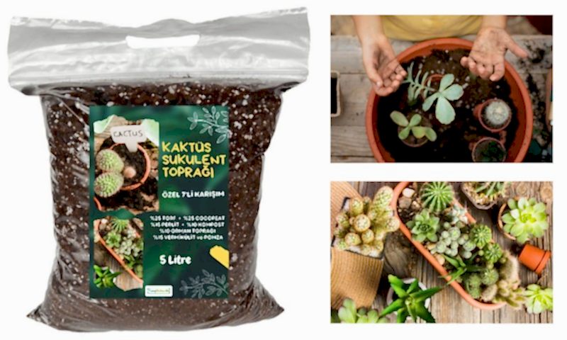 KAKTÜS SUKULENT TOPRAĞI 5 LT- 7'Lİ ÖZEL KARIŞIM(Akıllı Gübre Katkılı)