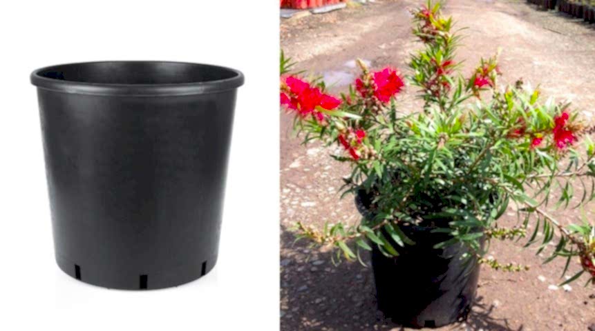 SİYAH ÜRETİM SAKSISI 100 ADET - 3 LT 17.5 CM