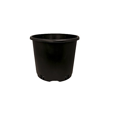 SİYAH ÜRETİM SAKSISI 100 ADET - 5 LT 21 CM